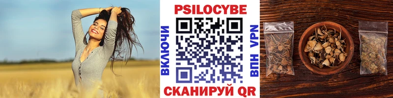 что такое   Дятьково  Псилоцибиновые грибы GOLDEN TEACHER 
